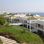 The Ritz Carlton 8