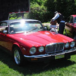 29 Jaguar