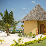 Gold Zanzibar