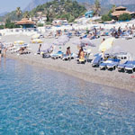 Club Turtles Marco Polo /Chamyuva/