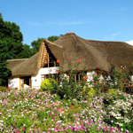 Ngorongoro Farm House