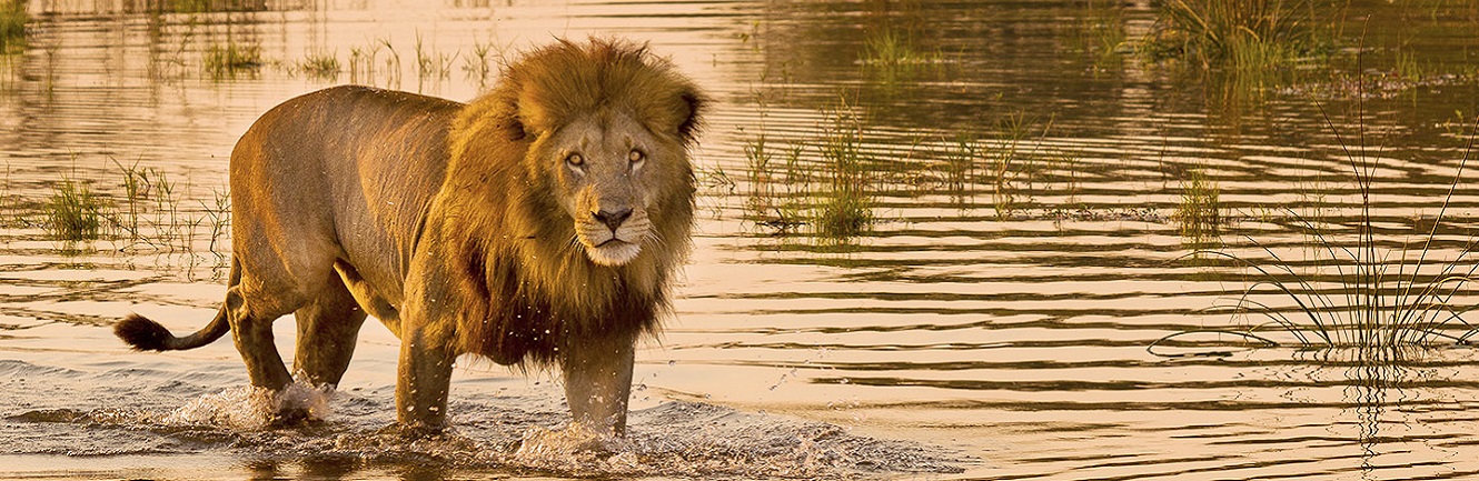 Кения: царство зверей и непревзойденной природы