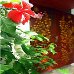 Mom Tri`s Villa Royale