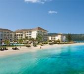 Secrets Wild Orchid