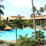 Royal Palm