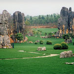 6 stone-forest