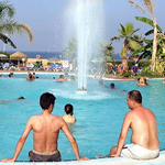 Best Oasis Tropical
