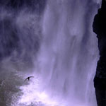 11-howick_falls.