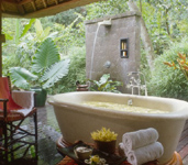 Four Seasons Resort Bali at Sayan