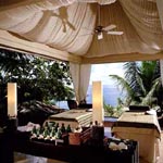 Banyan Tree