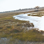 Belmond Eagle Island