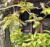 Arusha Coffee Lodge