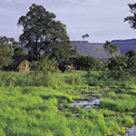 Little Governors Camp