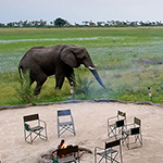 Tubu Tree Camp