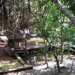 Saman Villas