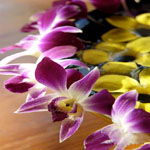 The Mangosteen Resort & Spa