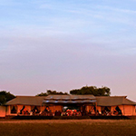 Singita Sabora Tented
