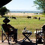 Kichwa Tembo