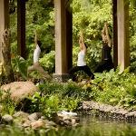 Royal Pita Maha