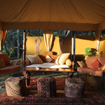 Elephant Pepper Camp