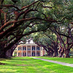 1louisiana-plantation