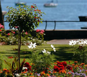 Fairmont Le Montreux Palace