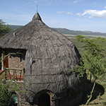 Serengeti Serena Safari