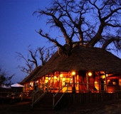 Tarangire Treetops