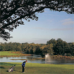 Belfry 16