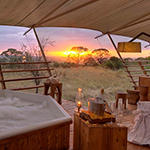 Serengeti Bushtops