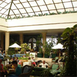 Hilton Sharm Dreams 11