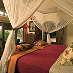 Singita Ebony