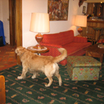 Alpen Ruitor