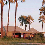 Jacks Camp