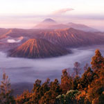 19bromo