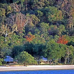 Amanwana