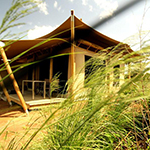 Kichwa Tembo