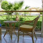 Desert Rose 3
