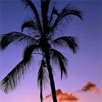 25honolulu