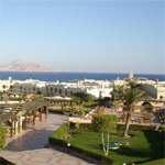Sea Club 11