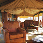 Oliver’s Camp