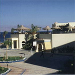 Steingerberger La Playa 13