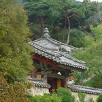 South Korea_13