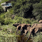 Singita Lebombo Lodge