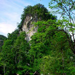 11-krabifishpond