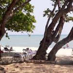 Grand Oasis Marien