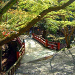 Mitsui Garden_8