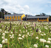 Lodge Lakutaia