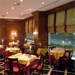 Real Palacio 13