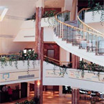 Melia Pharaoh 12